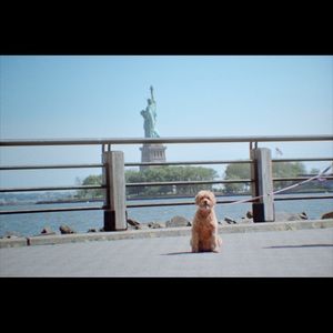 Meet your Posher, Colleen